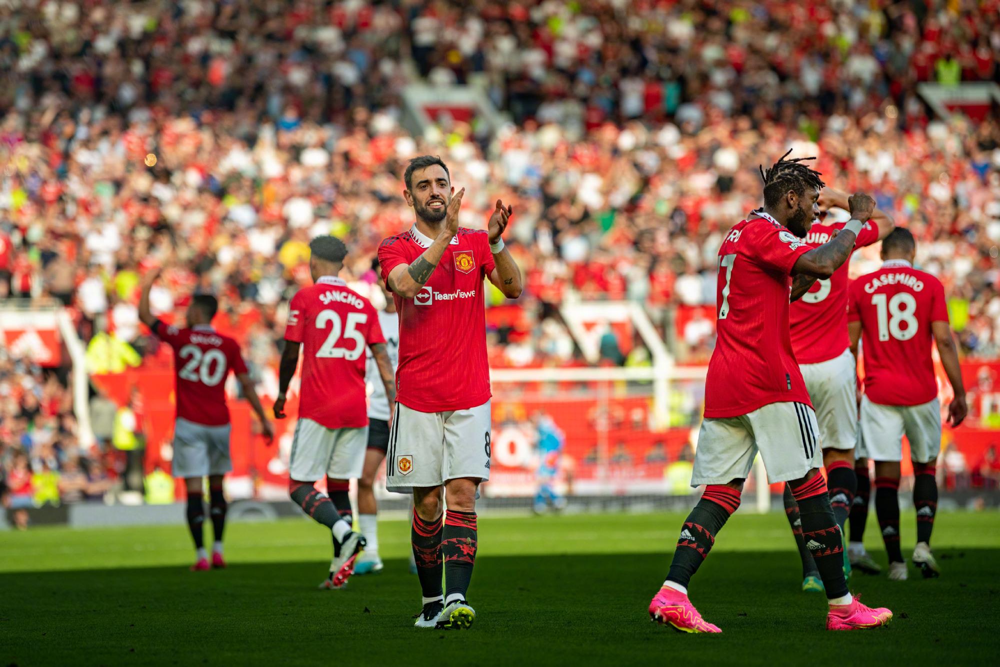 强大的适应 强大的适应